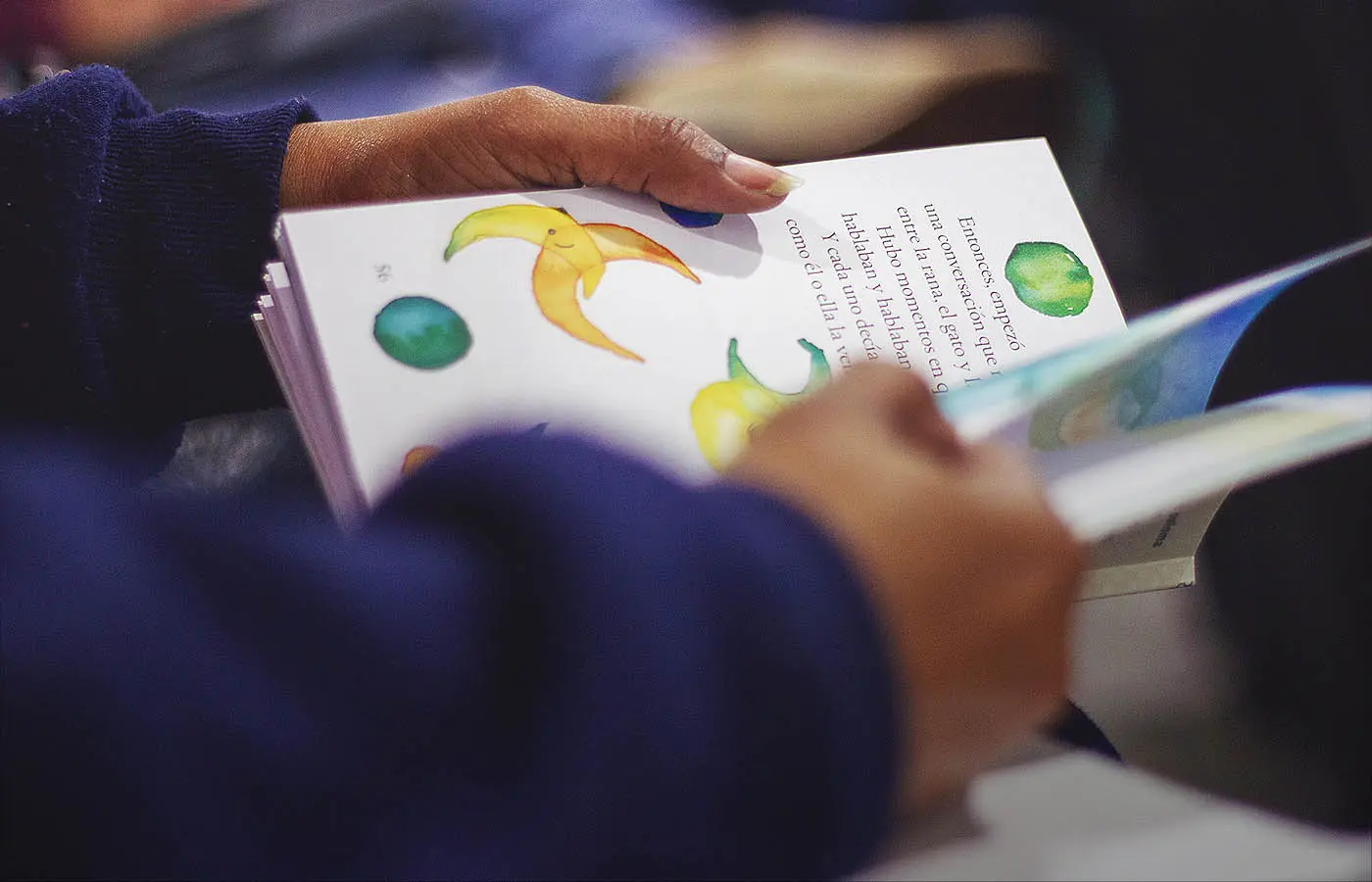 Imagen de la web Promotores de Lectura en Iberoamérica.